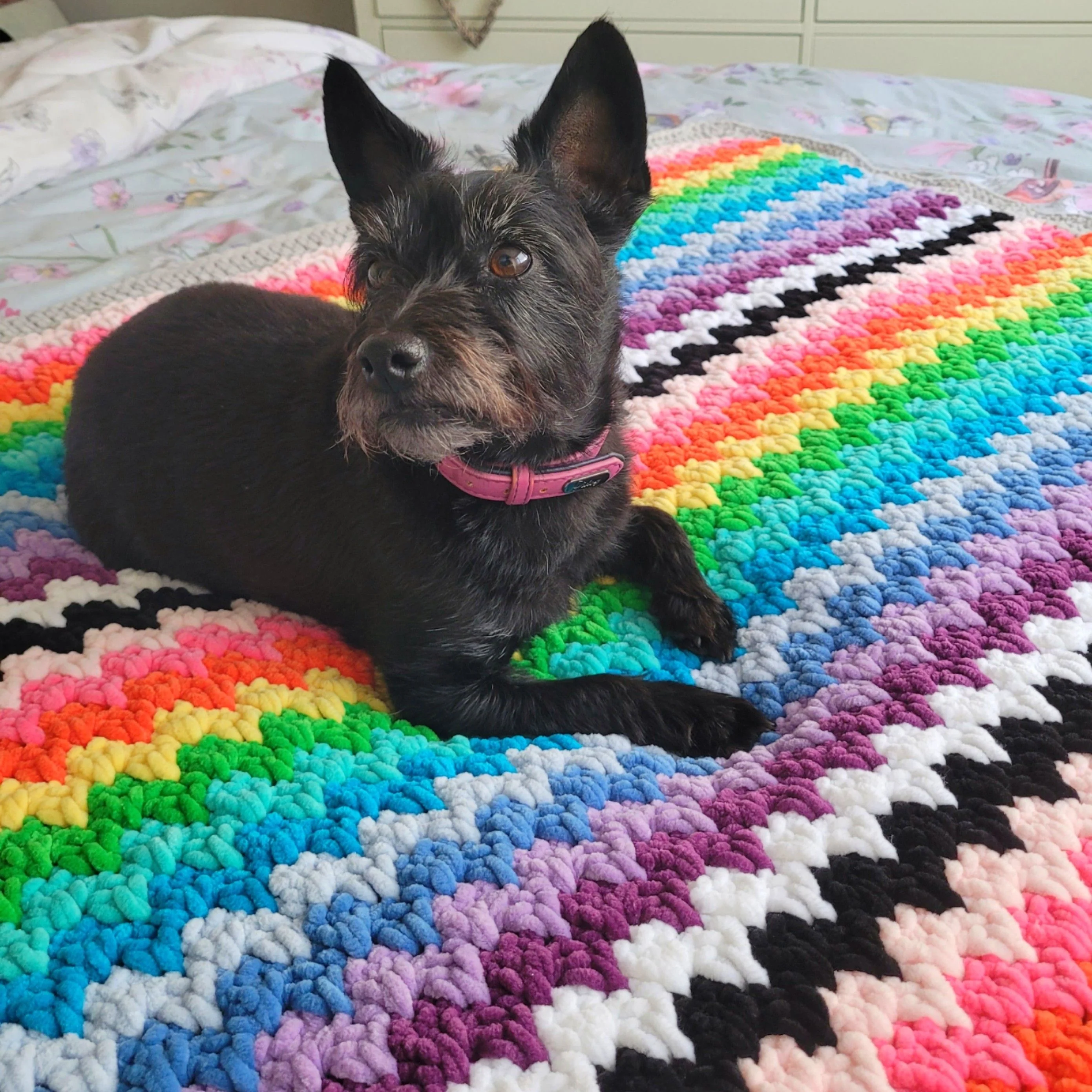 The Rainbow Cuddle Blanket - Image 5