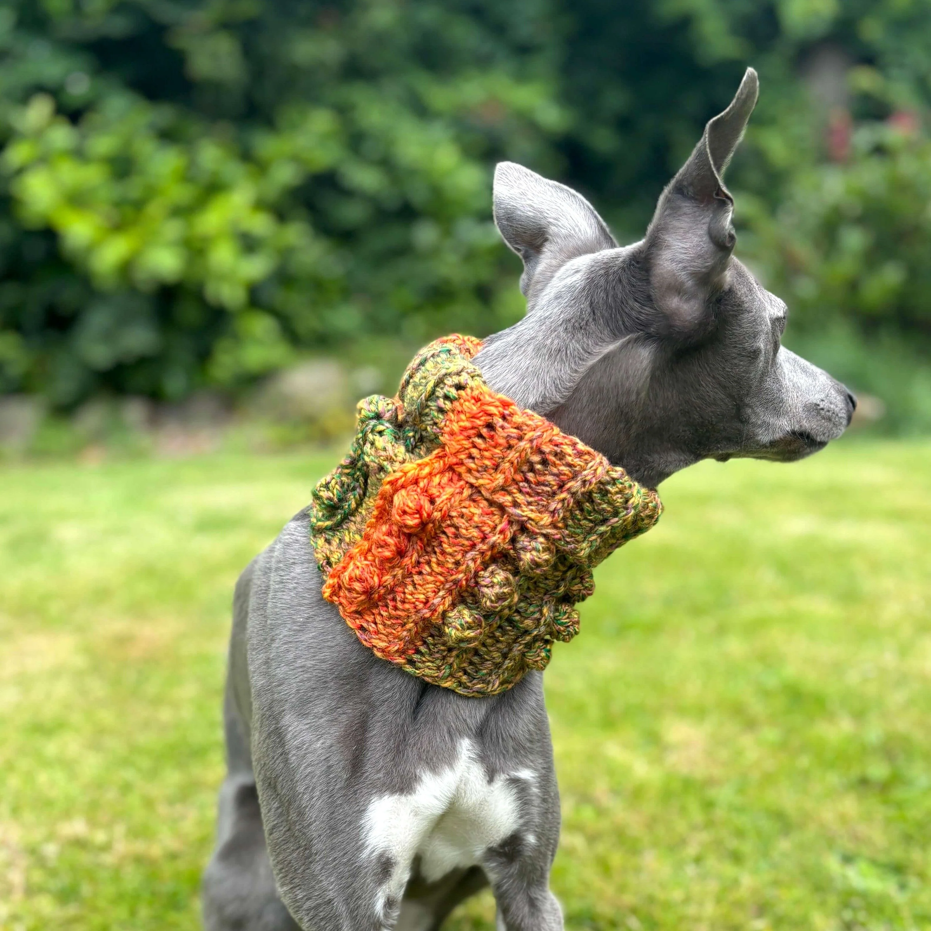 Doggy Bobble - Snood - Image 3