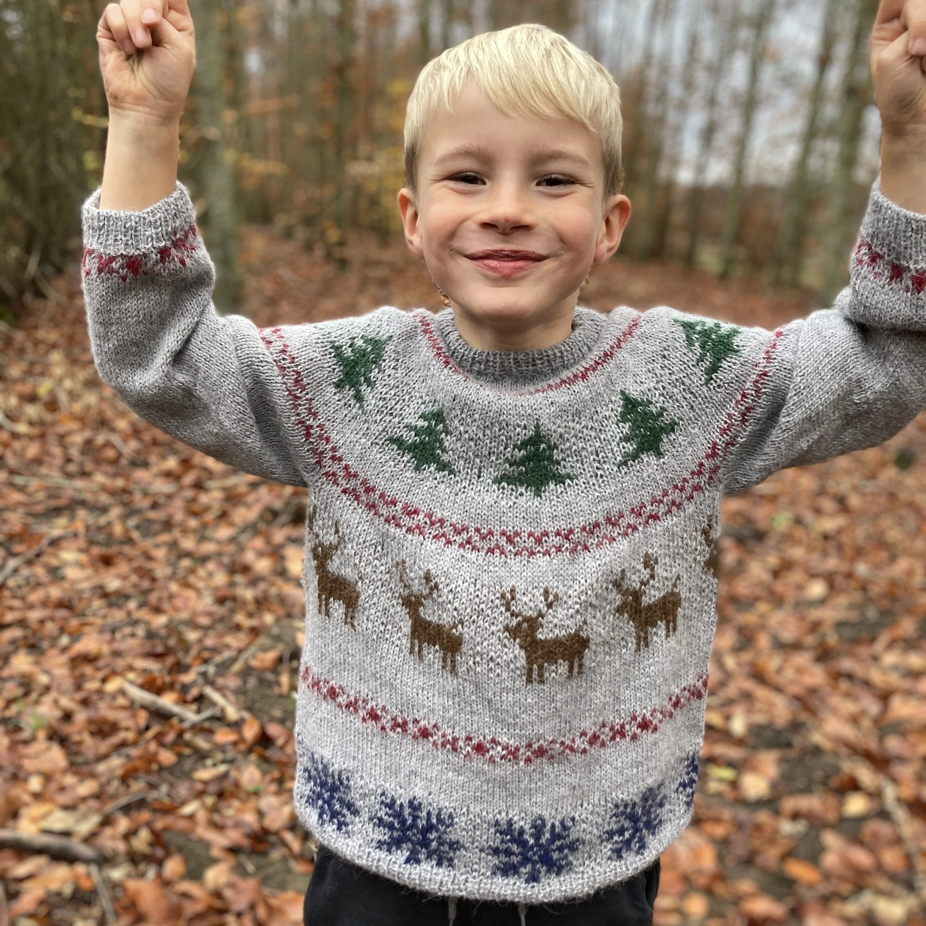 Holly Pines - Sweater Junior - Image 2