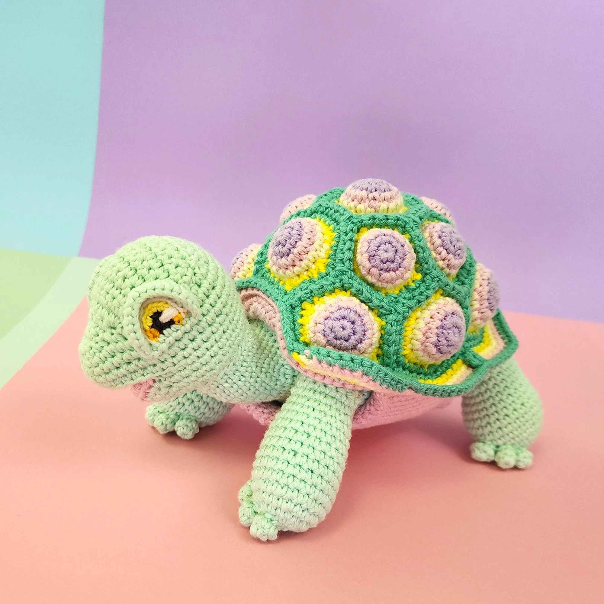 Astro the Tortoise - Image 15