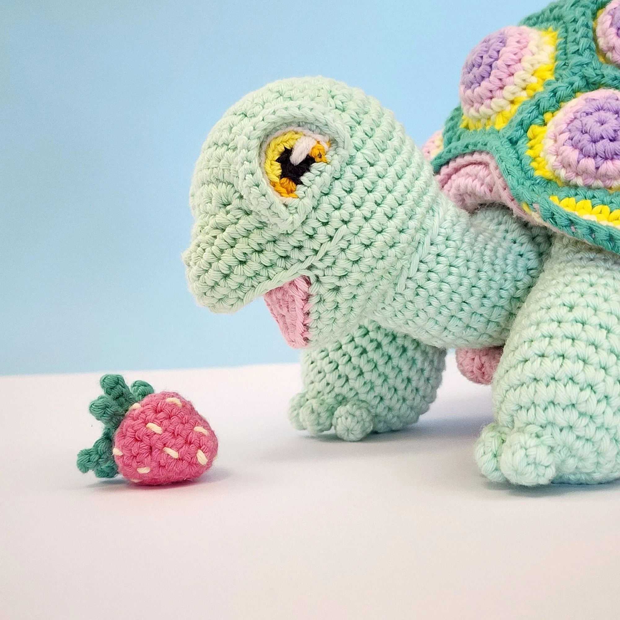 Astro the Tortoise - Image 5